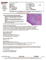 Thumbnail of sample dermatology report